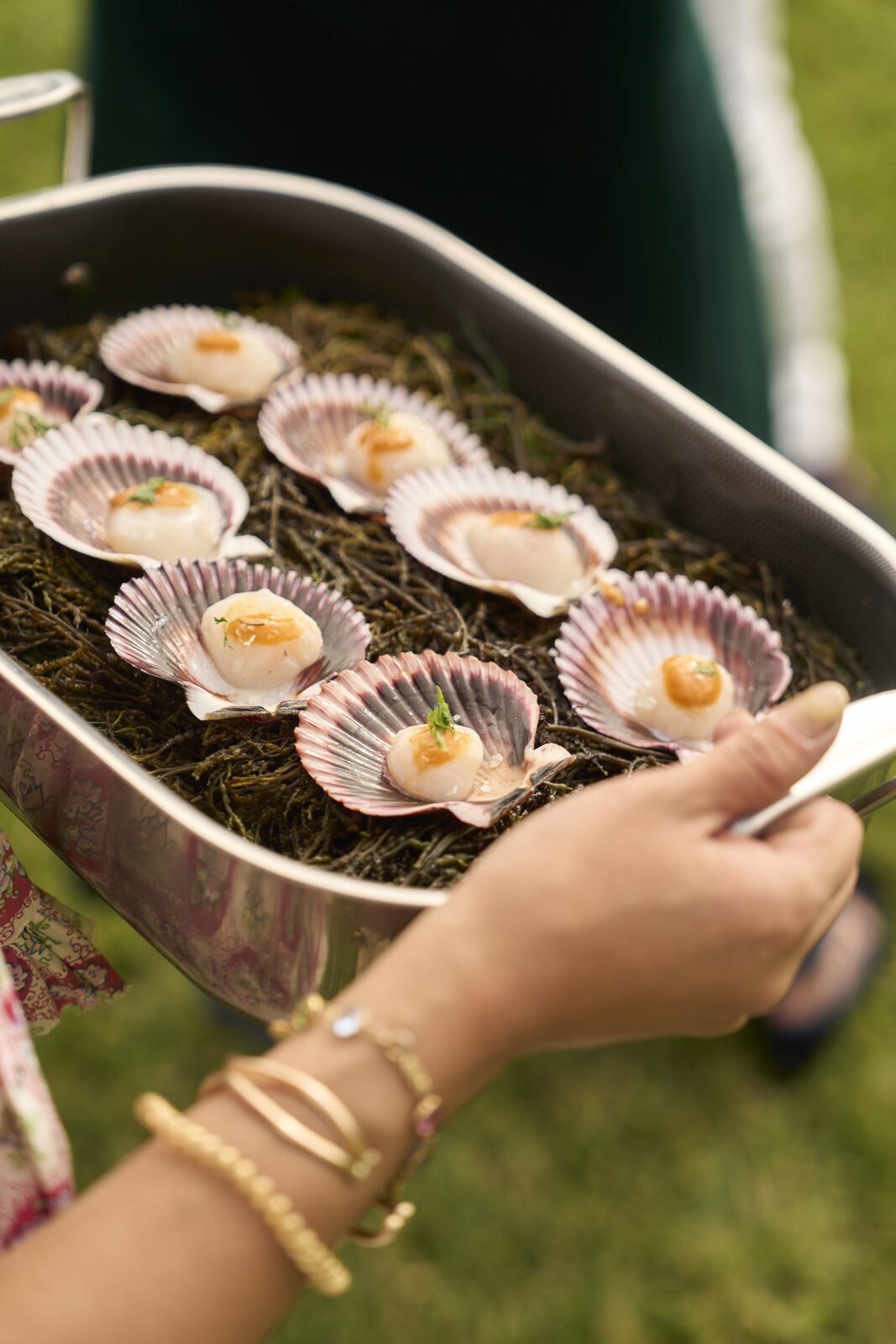 Scallops in shell, served from the garden